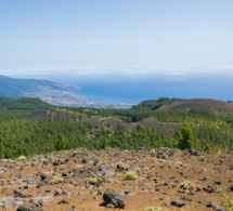 La Palma Mágica: Un viaje iniciático al corazón de La Palma a través de los CUATRO ELEMENTOS del 30 de Noviembre al 7 Diciembre 2024