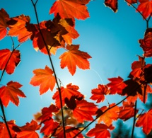 Rituales para el Equinoccio de Otoño